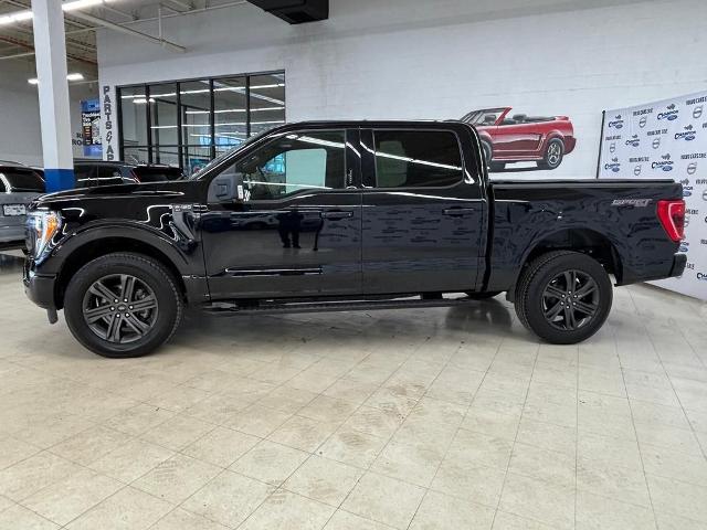 FORD F-150 XLT - 4