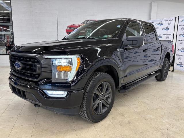 FORD F-150 XLT - 3