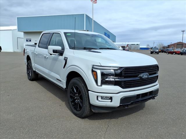 FORD F-150 PLATINUM - 8