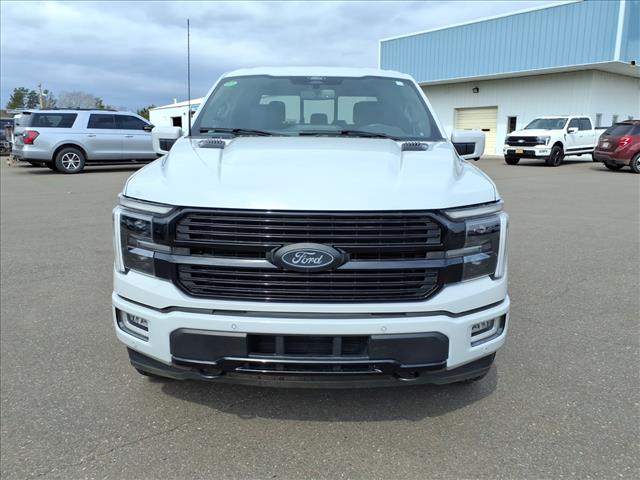 FORD F-150 PLATINUM - 9