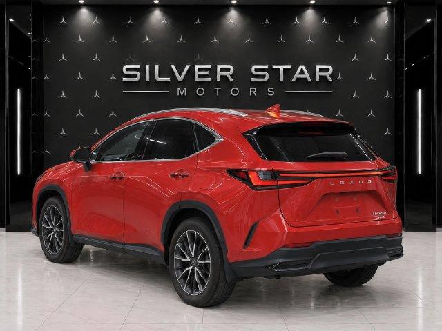 2024 Lexus NX 350 BASE 照片 4