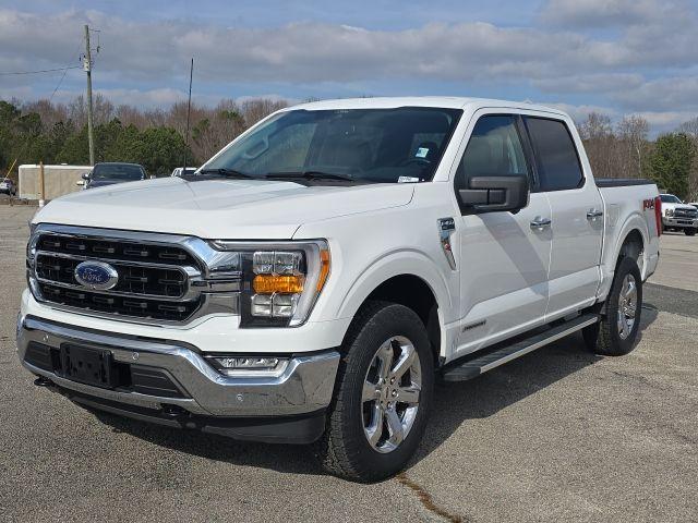 FORD F-150 XLT - 1