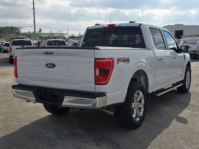 FORD F-150 XLT - 5
