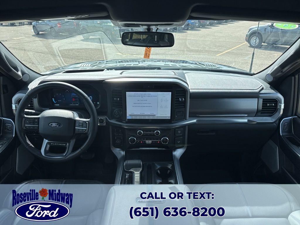 FORD F-150 PLATINUM - 10