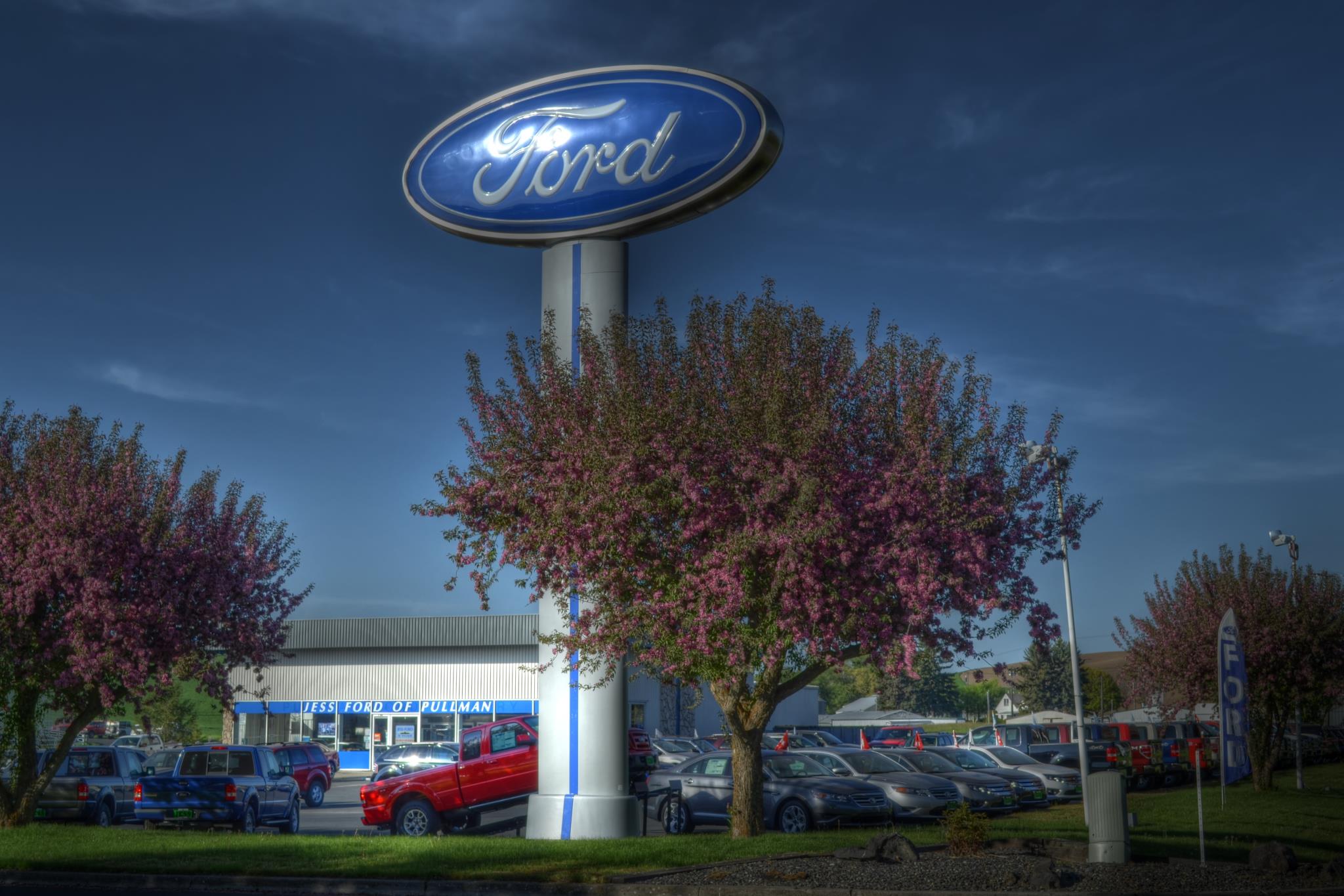 Jess Ford of Pullman Pullman, WA