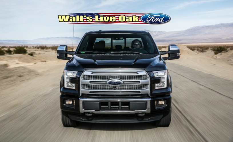 Walt S Live Oak Ford