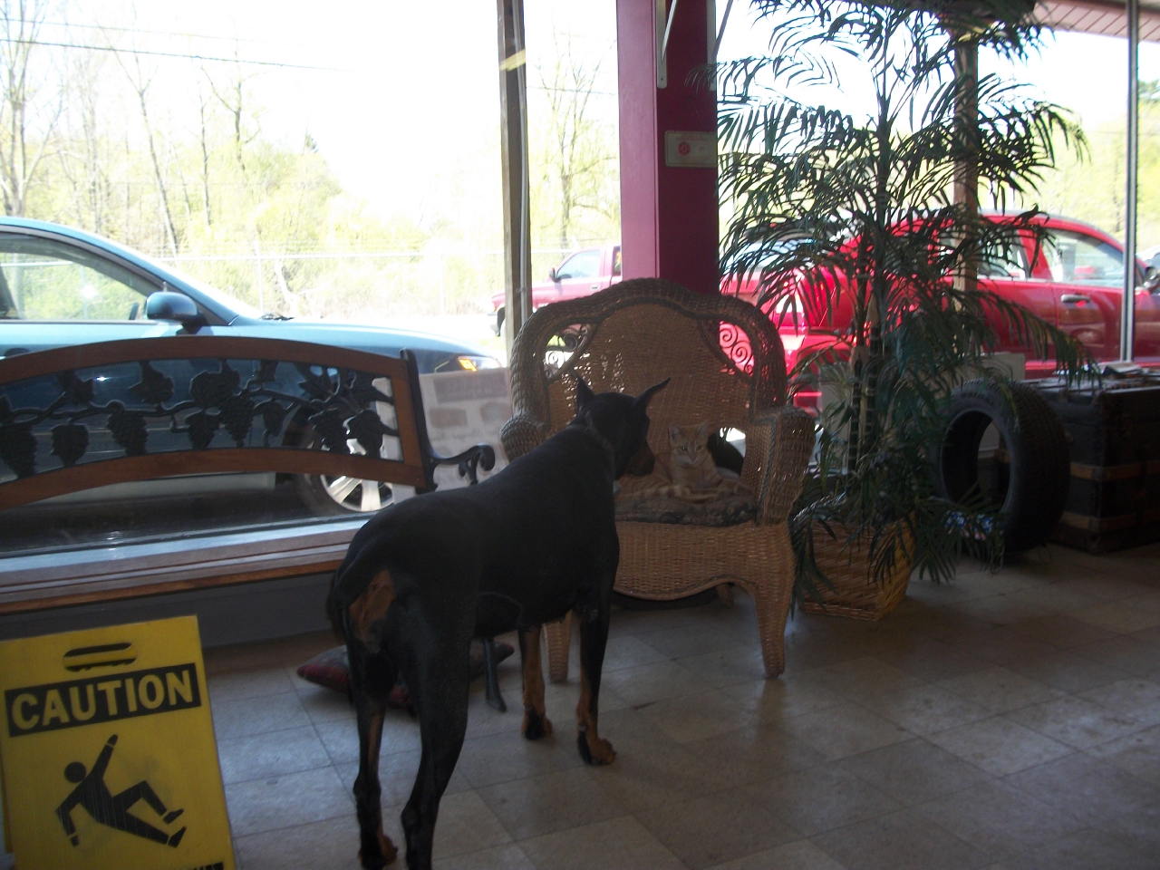 Sitterly's Quality Auto Sales Inc. St. Johnsville, NY