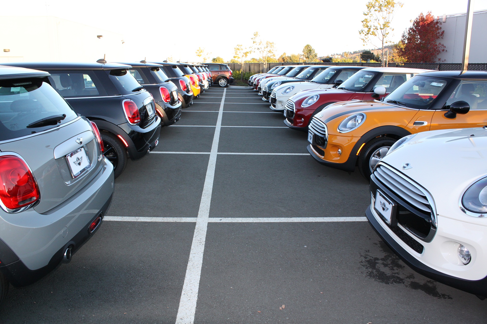 Dealer photo