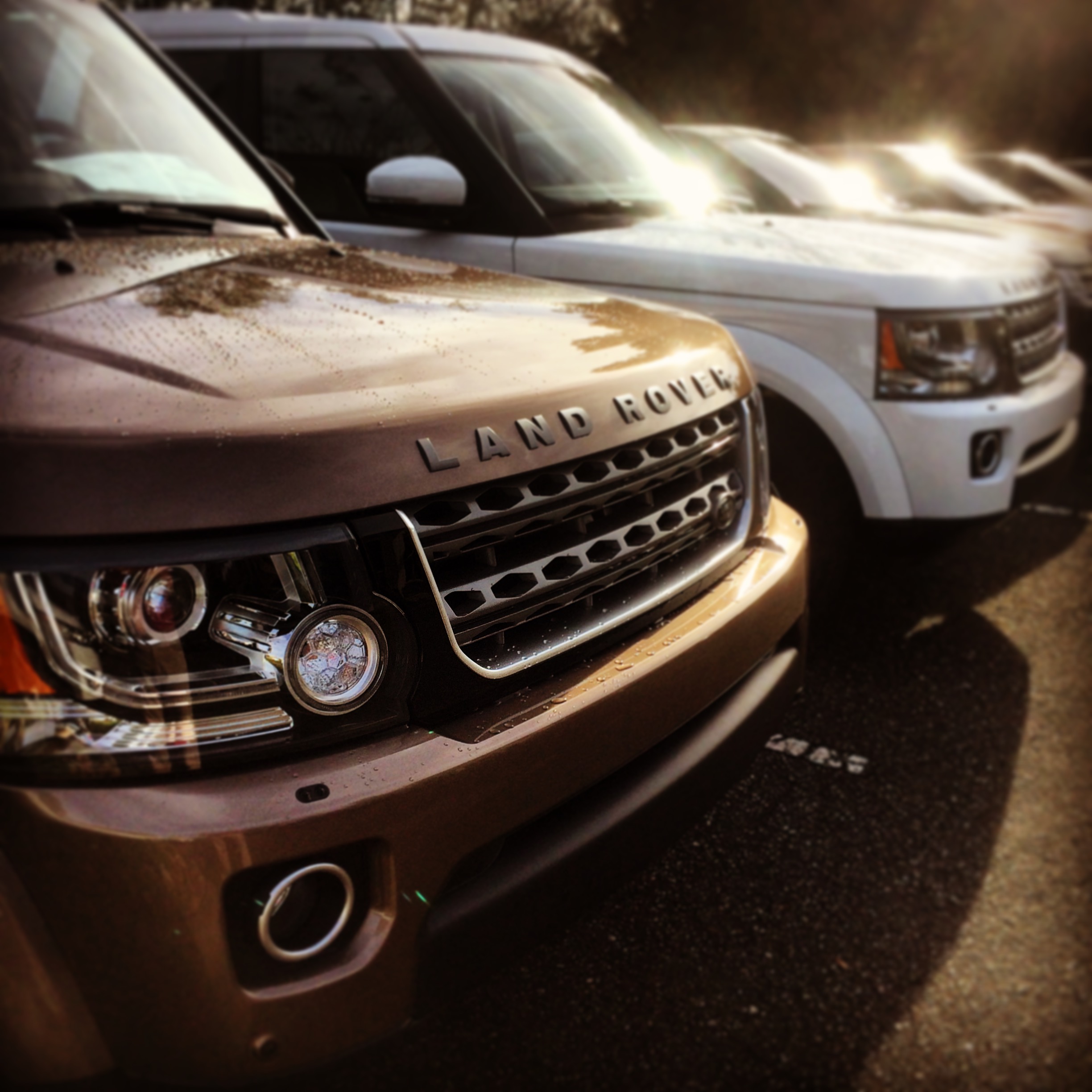 Land Rover Cape Fear Cars