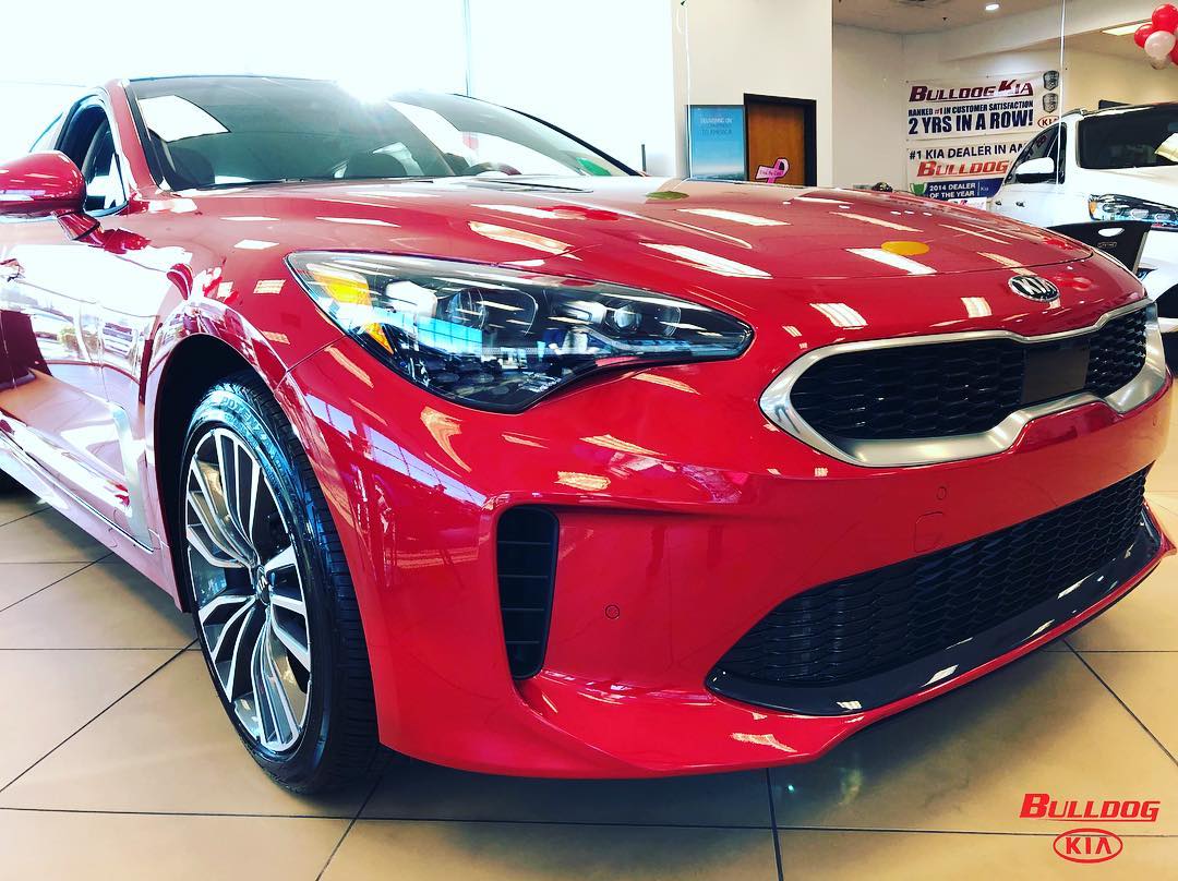 Bulldog Kia Athens, GA