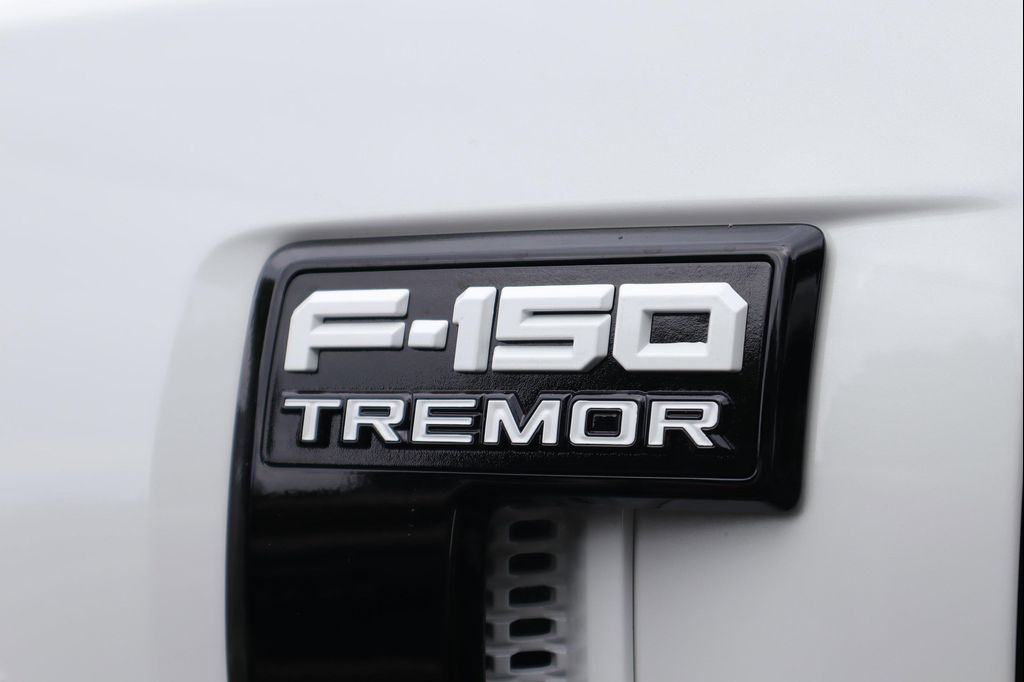 صورة مصغرة 37 لـ 2023 FORD F-150 TREMOR