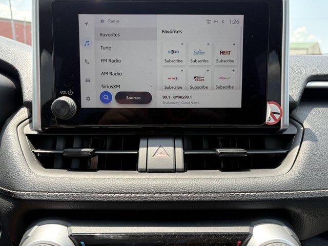2025 Toyota RAV4 XLE 照片 10