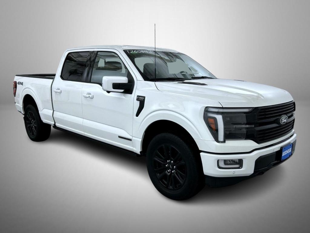 FORD F-150 PLATINUM - 3