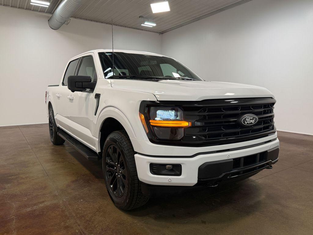 2025 FORD F-150 XLT — миниатюра 31