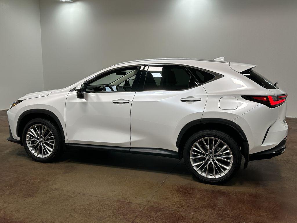 2025 Lexus NX 350 PREMIUM thumbnail 32