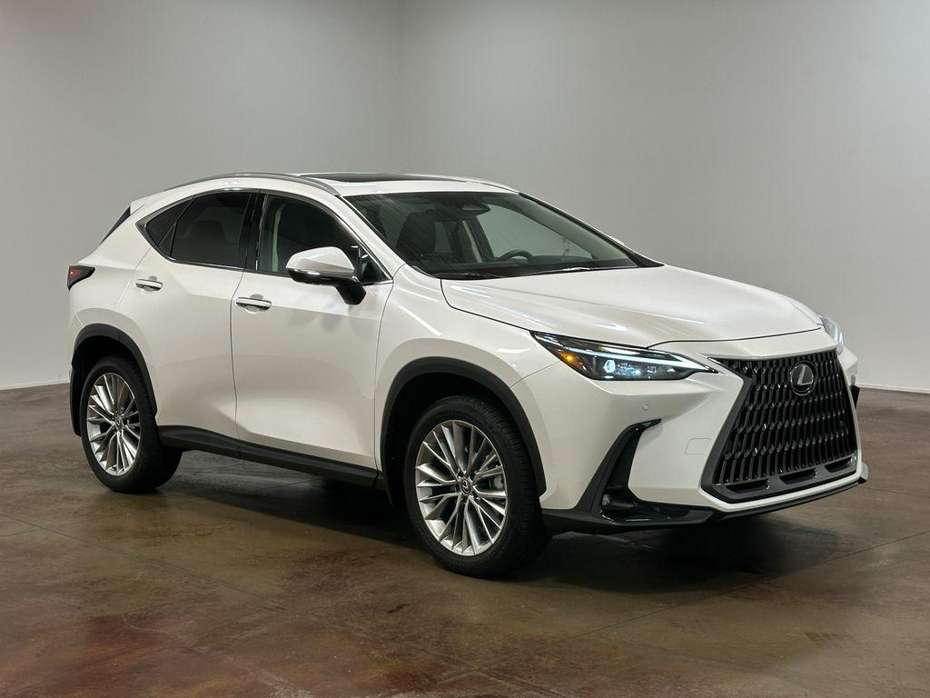 2025 Lexus NX 350 PREMIUM thumbnail 23