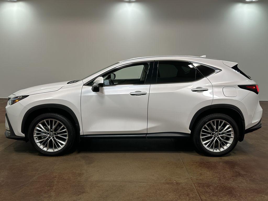 2025 Lexus NX 350 PREMIUM thumbnail 33