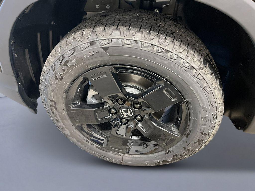 2026 Honda RIDGELINE BLACK EDITION 照片 10