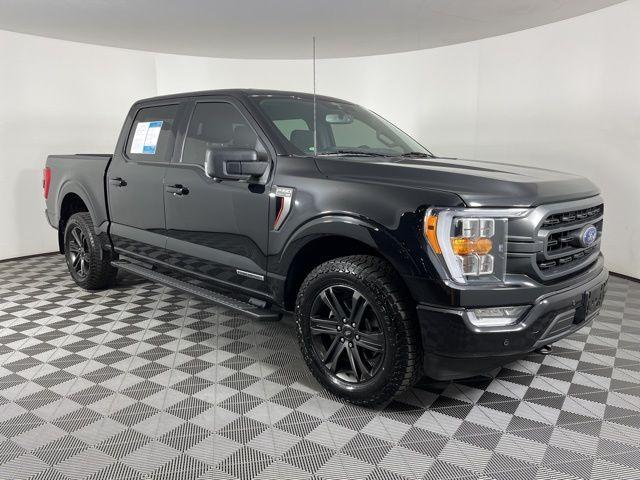 FORD F-150 XLT - 3
