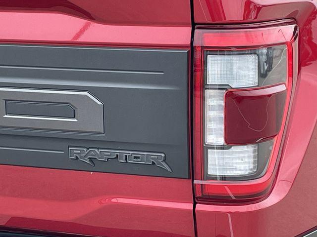 FORD F-150 RAPTOR - 6
