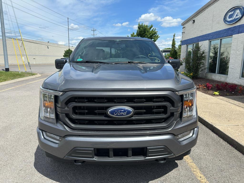 FORD F-150 XLT - 10