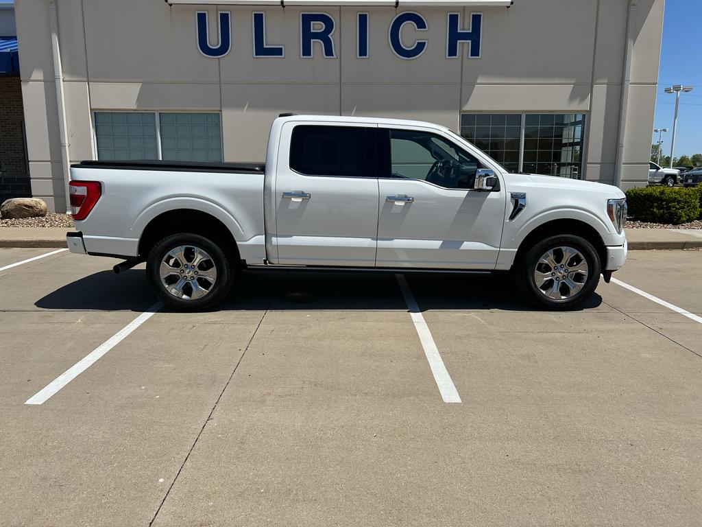 FORD F-150 PLATINUM - 10