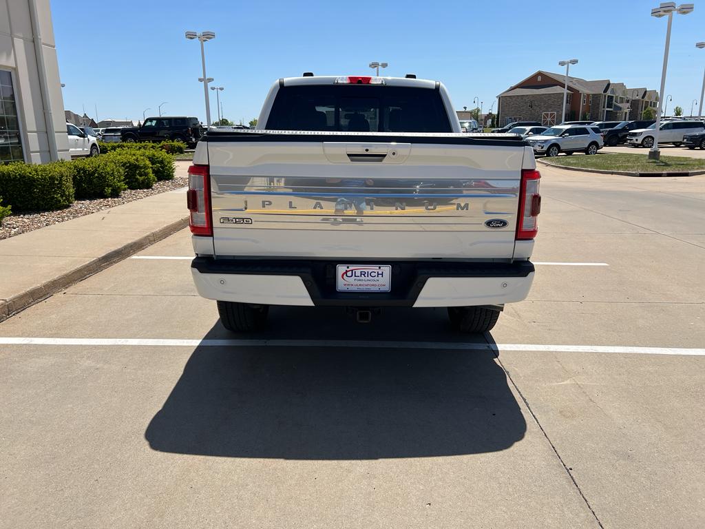FORD F-150 PLATINUM - 7