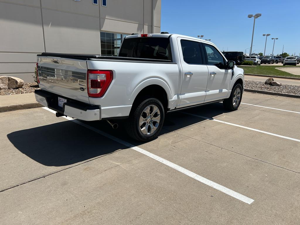 FORD F-150 PLATINUM - 9