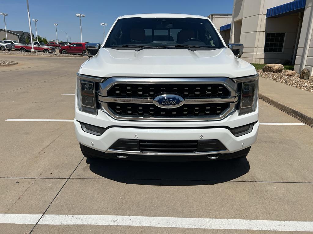 FORD F-150 PLATINUM - 3