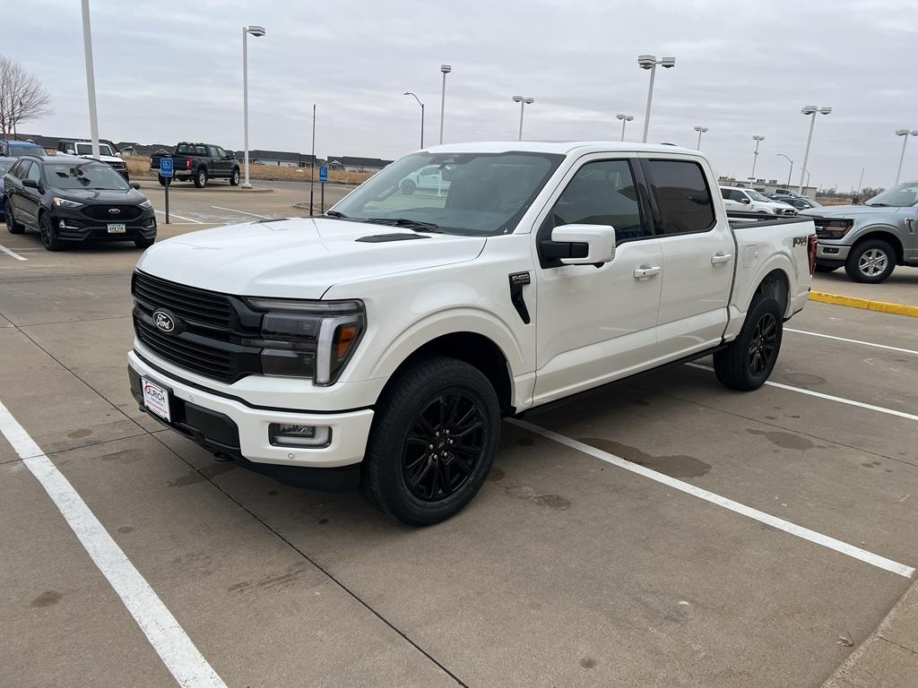 FORD F-150 PLATINUM - 4