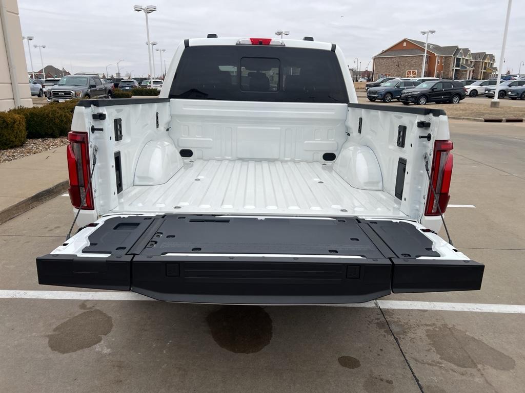 FORD F-150 PLATINUM - 9