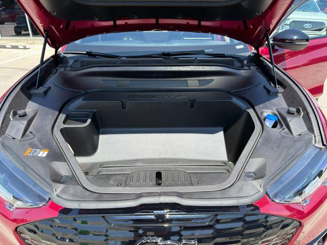 صورة مصغرة 13 لـ 2025 FORD MUSTANG MACH-E GT