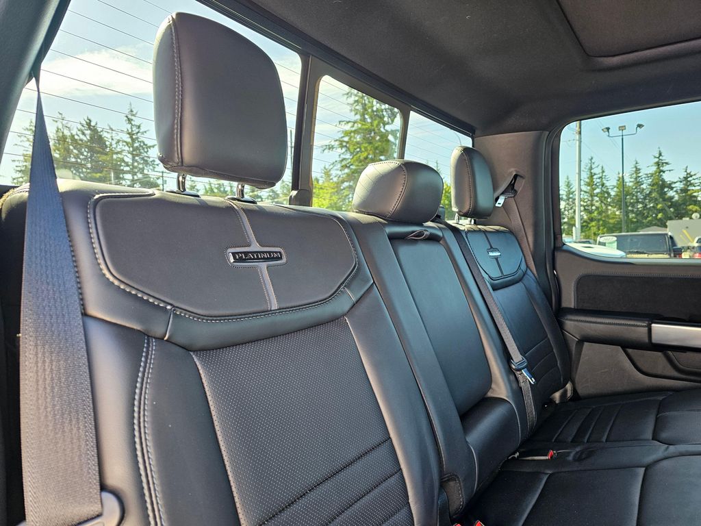 2024 FORD F-150 PLATINUM — миниатюра 13