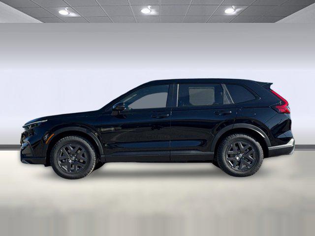 HONDA CR-V HYBRID TRAILSPORT AWD - 2