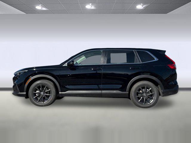 HONDA CR-V EX-L AWD - 2