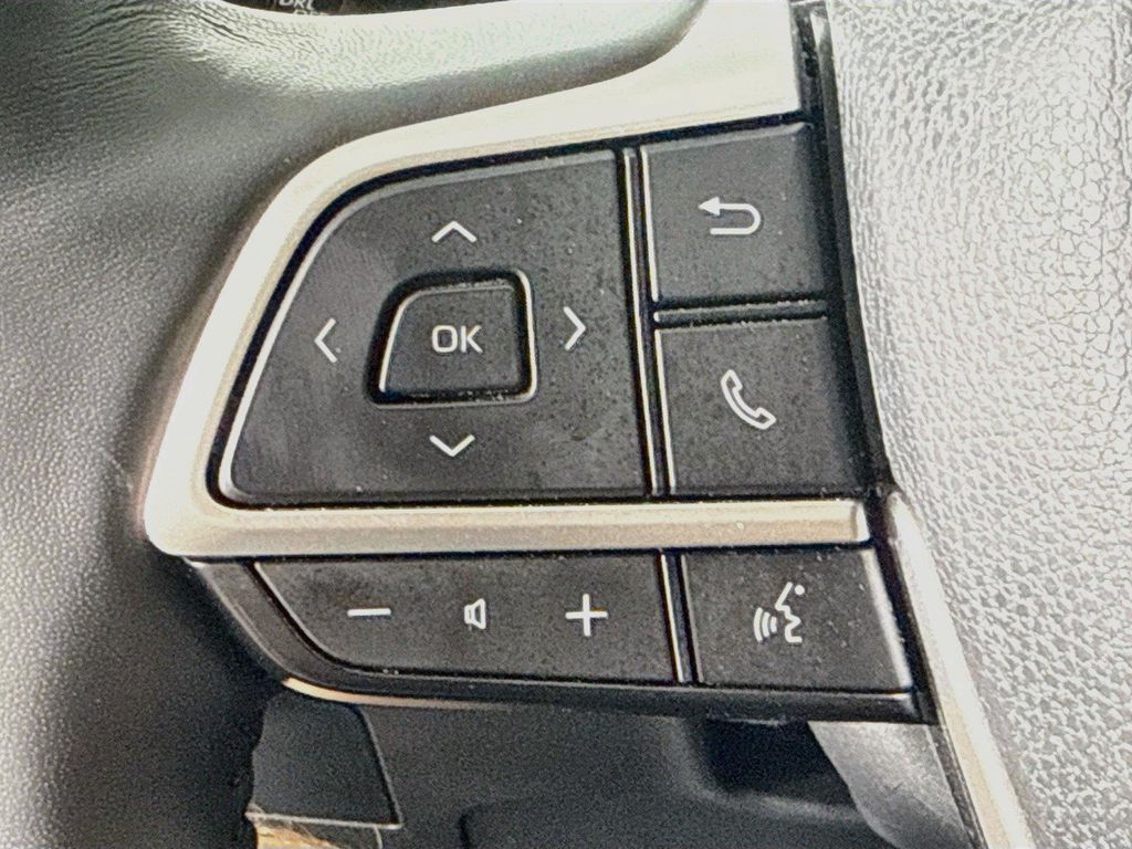 2024 Toyota GRAND HIGHLANDER LIMITED 照片 12