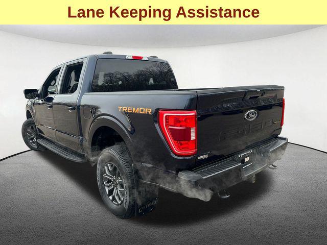 FORD F-150 TREMOR - 8