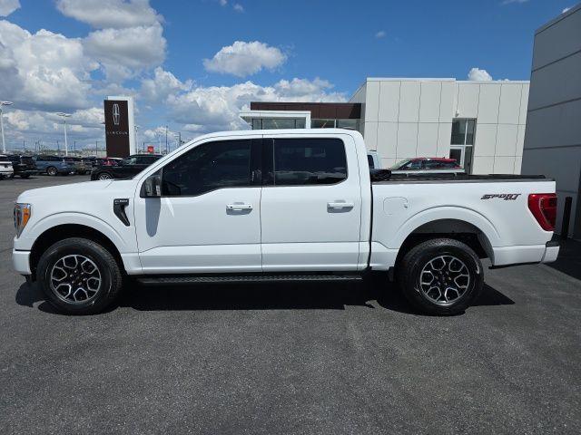 FORD F-150 XLT - 6