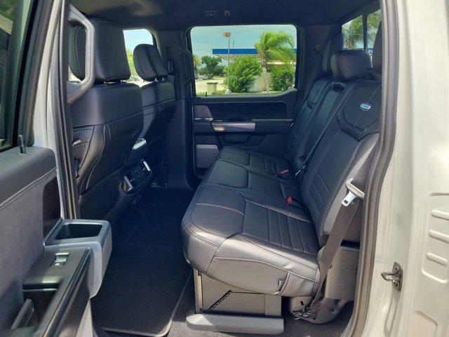 FORD F-150 PLATINUM - 10