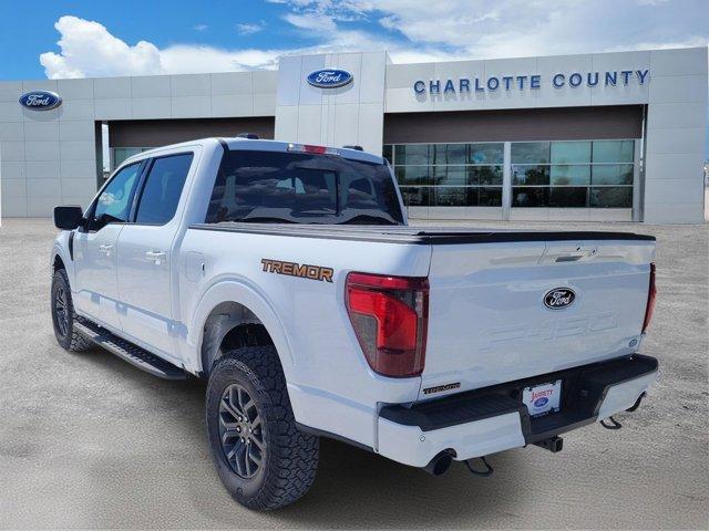 FORD F-150 TREMOR - 3