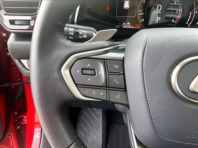2024 Lexus NX 250 PREMIUM 缩略图 20