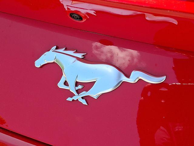 2025 FORD MUSTANG ECOBOOST PREMIUM thumbnail 24