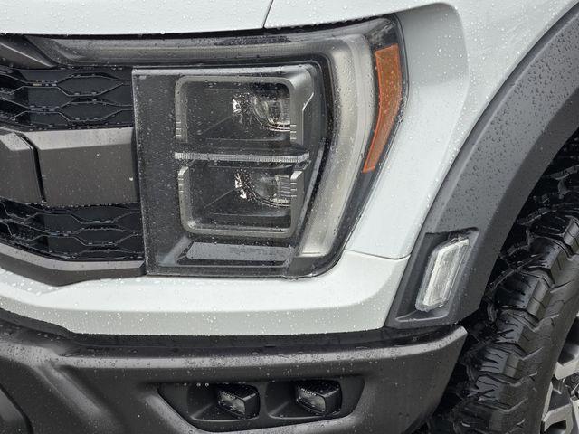 FORD F-150 RAPTOR - 8
