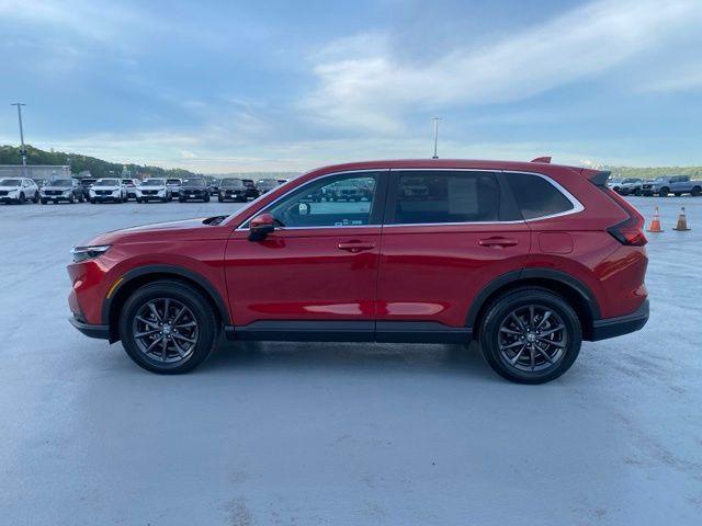 2026 Honda CR-V EX-L 照片 5