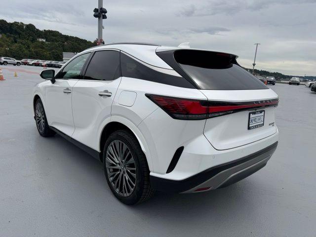 2023 Lexus RX 350 LUXURY 照片 5