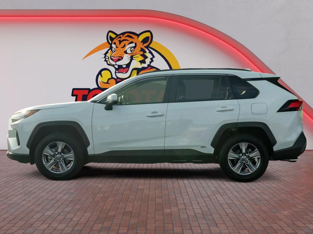 2025 Toyota RAV4 HYBRID XLE 照片 9