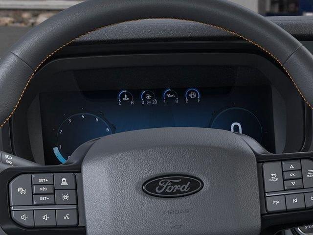 صورة مصغرة 13 لـ 2025 FORD F-150 TREMOR