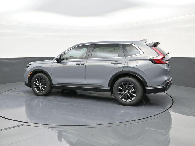 2026 Honda CR-V EX-L AWD photo 5