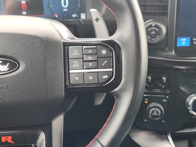 صورة مصغرة 28 لـ 2024 FORD F-150 RAPTOR
