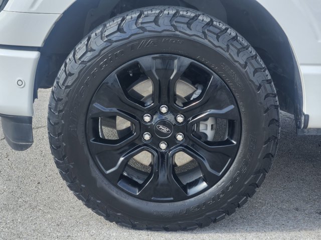 2023 FORD F-150 PLATINUM 照片 10